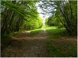 Planina (Dolnja Planina) - Lovska koča na Planinski gori